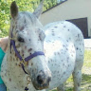 Meet your Posher, Marlena